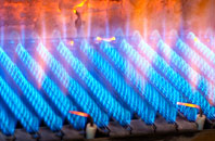 Craigiebuckler gas fired boilers
